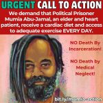 Slide-1_Mumia-Call-to-Action-0.jpg