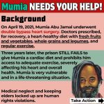 Slide-2_Mumia-Call-to-Action-1.jpg